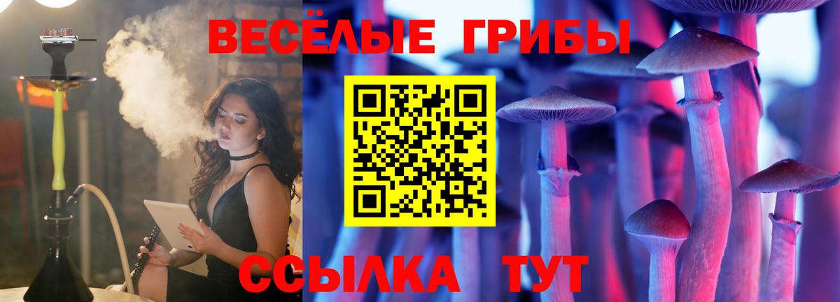 Псилоцибиновые грибы Magic Shrooms Тольятти